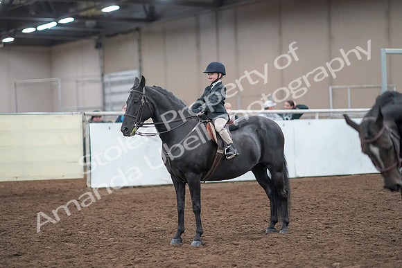 2019 Morgan Horse Show - Aug 31, 2019 - 19719