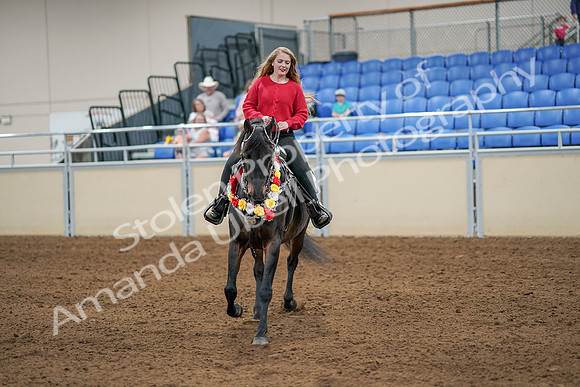 2020 - AB Morgan Horse - Sat, Sept 05 - 10433