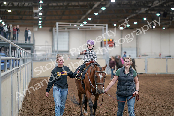 2020 - AB Morgan Horse - Sat, Sept 05 - 10077