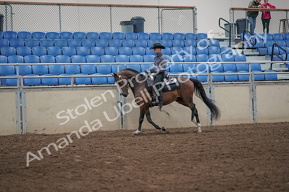 2019 Morgan Horse Show - Aug 31, 2019 - 06092