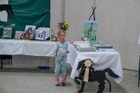 2019 Morgan Horse Show - Sept 01, 2019 - 05890