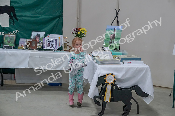 2019 Morgan Horse Show - Sept 01, 2019 - 05890