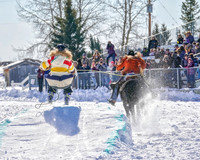 Buck - 2020 - Skijor - Sat, Feb 22 - 02196