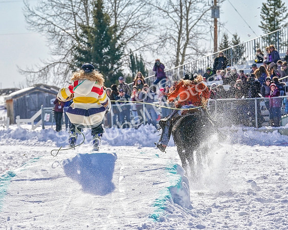 Buck - 2020 - Skijor - Sat, Feb 22 - 02196