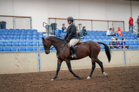 2019 Morgan Horse Show - Aug 30, 2019 - 29218