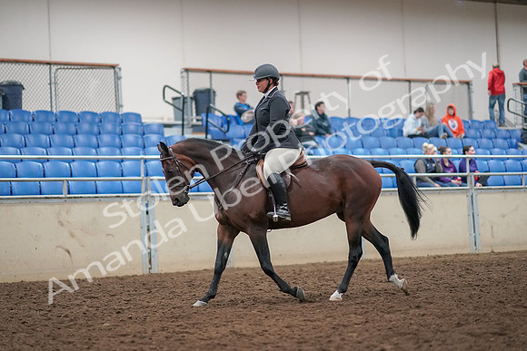 2019 Morgan Horse Show - Aug 30, 2019 - 29218