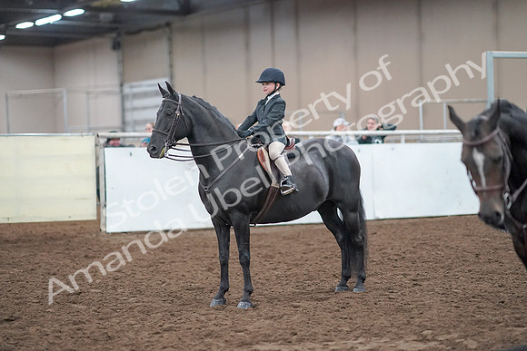 2019 Morgan Horse Show - Aug 31, 2019 - 19723