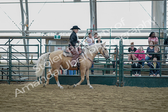July 21, 2019 - 06842