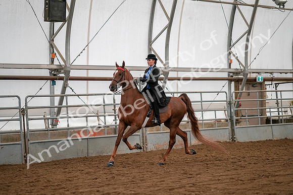 July 19, 2019 - 10578