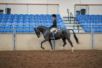 2019 Morgan Horse Show - Aug 30, 2019 - 23116