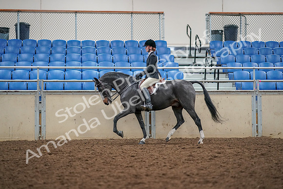 2019 Morgan Horse Show - Aug 30, 2019 - 23116