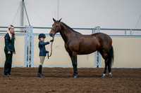 2020 - AB Morgan Horse - Fri, Sept 04 - 01005