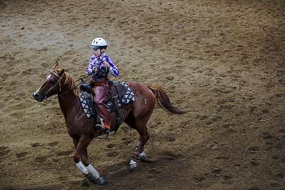 DSC09175