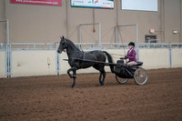 2019 Morgan Horse Show - Sept 01, 2019 - 10373_1