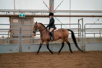 Class 020 - Morgan Hunter Pleasure - Junior Exhibitor