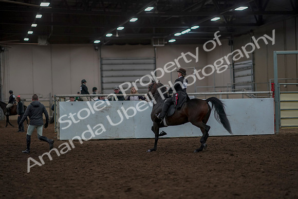 2019 Morgan Horse Show - Aug 30, 2019 - 28343