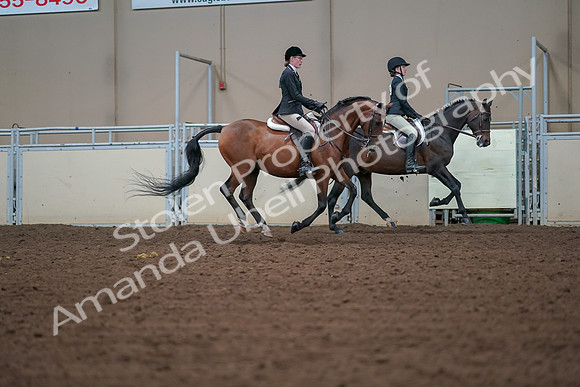 2019 Morgan Horse Show - Aug 30, 2019 - 21005
