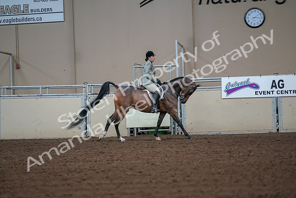 2019 Morgan Horse Show - Aug 30, 2019 - 17522