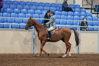 2020 - AB Morgan Horse - Sat, Sept 05 - 02614