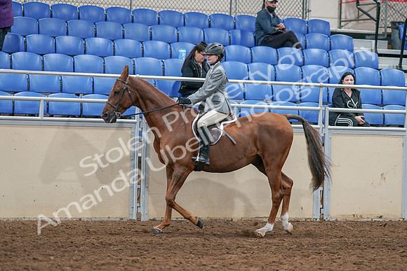 2020 - AB Morgan Horse - Sat, Sept 05 - 02614