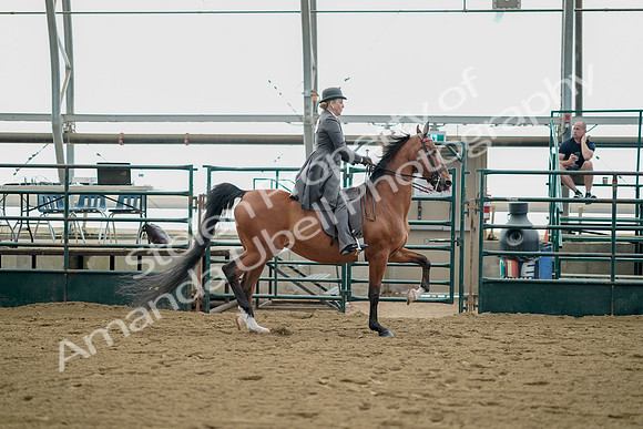 July 21, 2019 - 01832