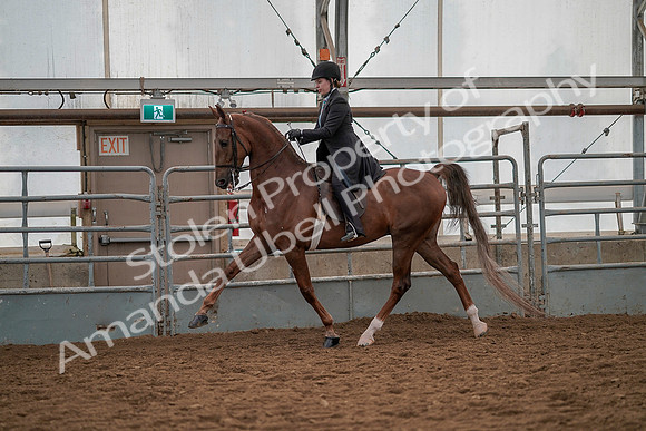 July 19, 2019 - 12954