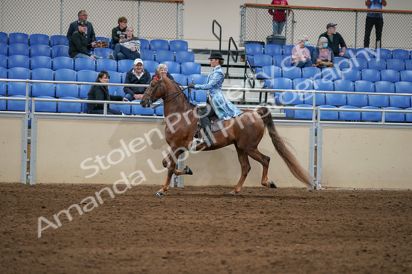2020 - AB Morgan Horse - Sat, Sept 05 - 06244