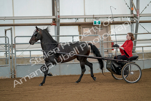 July 20, 2019 - 00074