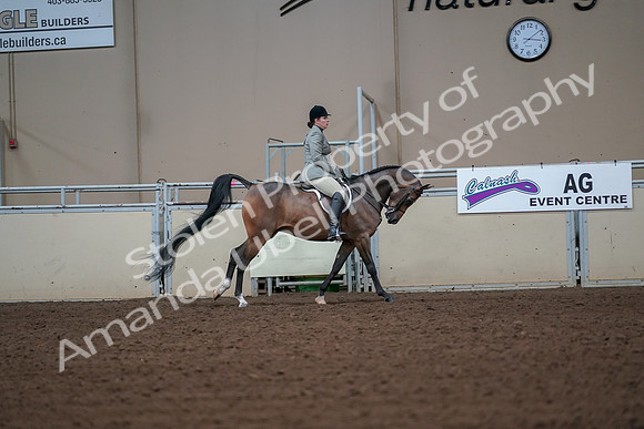 2019 Morgan Horse Show - Aug 30, 2019 - 17523