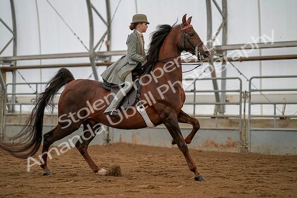July 19, 2019 - 4046