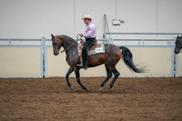 2020 - AB Morgan Horse - Sat, Sept 05 - 05655