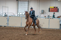 2020 - AB Morgan Horse - Sat, Sept 05 - 09369
