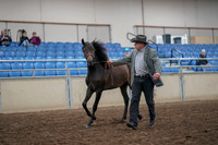 2019 Morgan Horse Show - Aug 31, 2019 - 03376