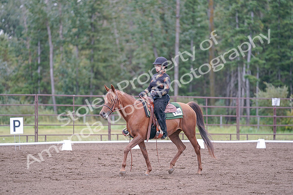 2019 Morgan Horse Show - Aug 30, 2019 - 00231