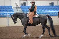 2019 Morgan Horse Show - Aug 31, 2019 - 06026