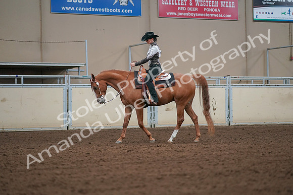 2019 Morgan Horse Show - Aug 30, 2019 - 16779
