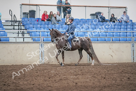 2019 Morgan Horse Show - Aug 31, 2019 - 21383