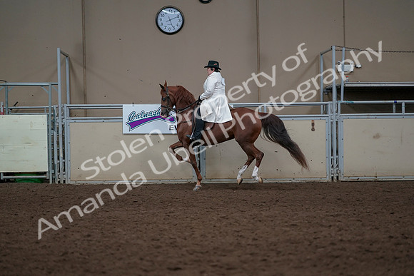 2019 Morgan Horse Show - Aug 31, 2019 - 17918
