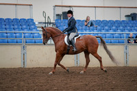 2019 Morgan Horse Show - Aug 30, 2019 - 16007