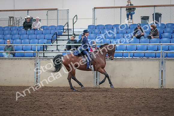 2019 Morgan Horse Show - Aug 31, 2019 - 09688