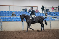 2019 Morgan Horse Show - Aug 31, 2019 - 14631