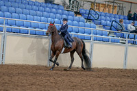 2020 - AB Morgan Horse - Sat, Sept 05 - 04758