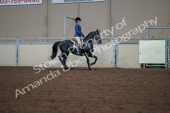 2019 Morgan Horse Show - Aug 30, 2019 - 18565