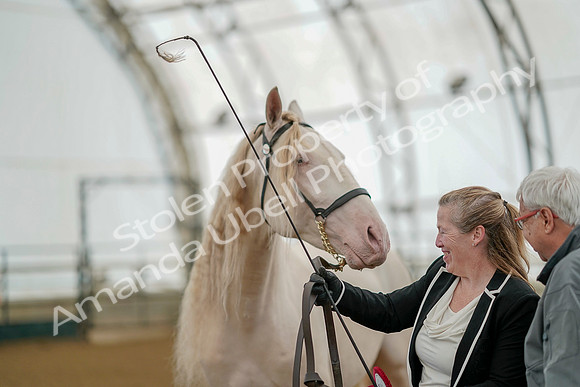 July 19, 2019 - 384