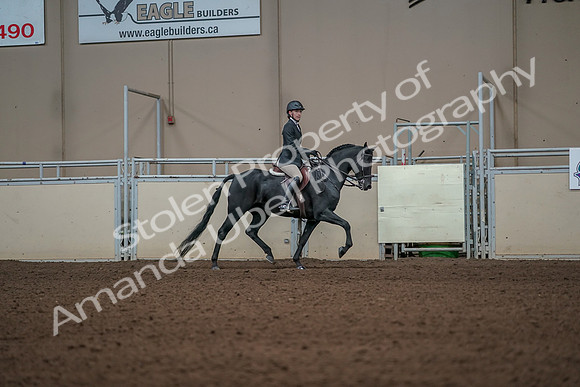 2019 Morgan Horse Show - Aug 31, 2019 - 05176