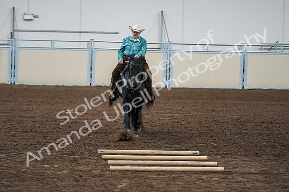 2020 - AB Morgan Horse - Fri, Sept 04 - 00507