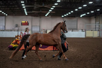 2019 Morgan Horse Show - Aug 31, 2019 - 01034