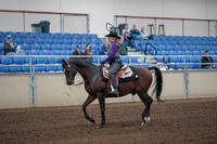 2019 Morgan Horse Show - Aug 31, 2019 - 10538