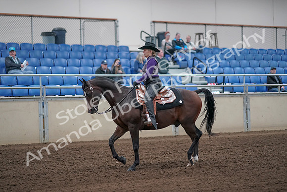 2019 Morgan Horse Show - Aug 31, 2019 - 10538