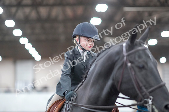 2019 Morgan Horse Show - Aug 31, 2019 - 19752
